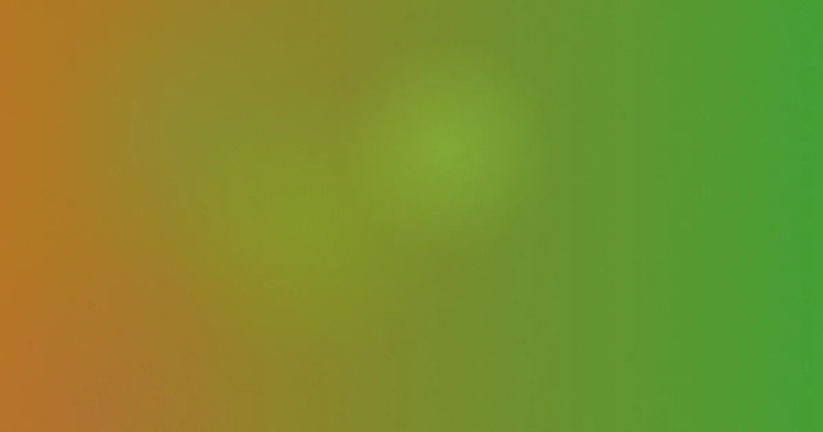 刘一含怎么用：实测整理法